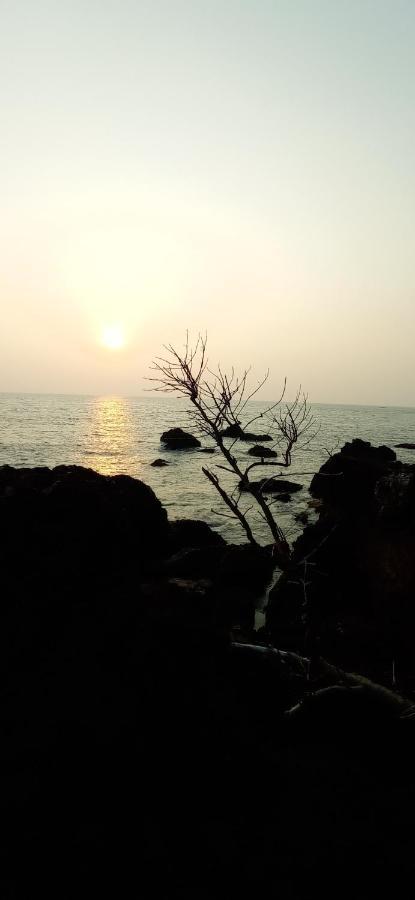 칸누르 Perch By The Sea B&B 외부 사진